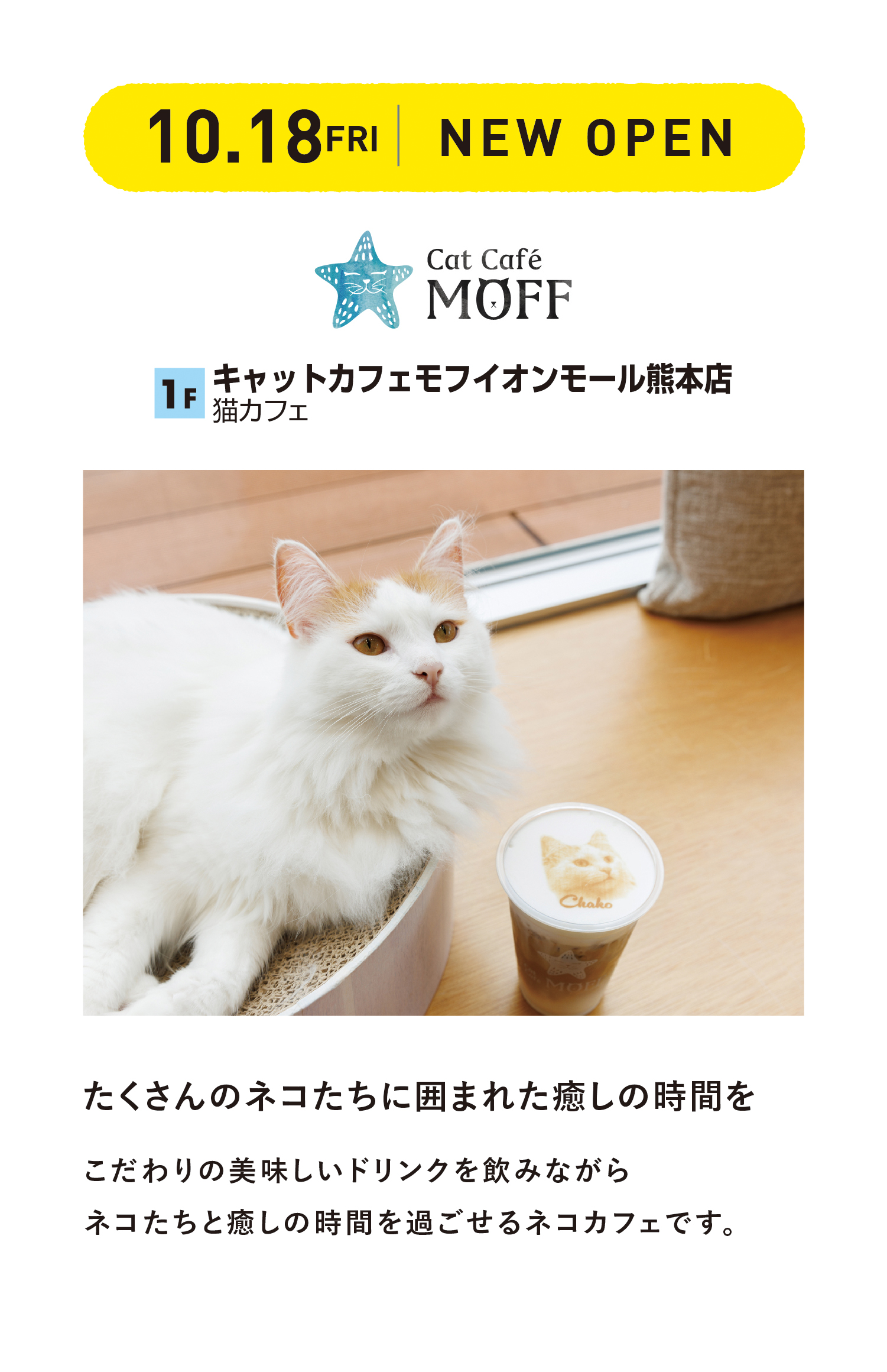 キャットカフェモフ